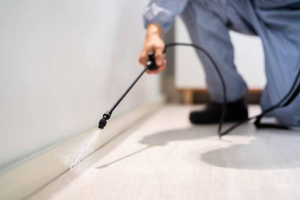 Licensed Cockroach Control service in Hemlock, MI - Nex Pest Control