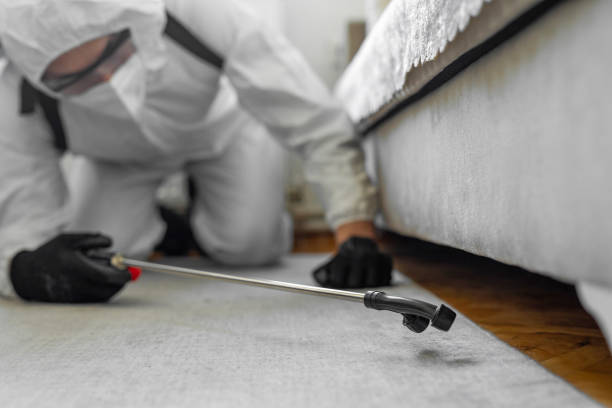 Professional Cockroach Control technician working in Hemlock, MI