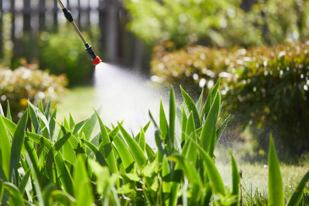 24/7 Emergency Cockroach Control experts in Hemlock, MI
