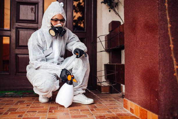 Reliable Cockroach Control contractor in Hemlock, MI by Nex Pest Control