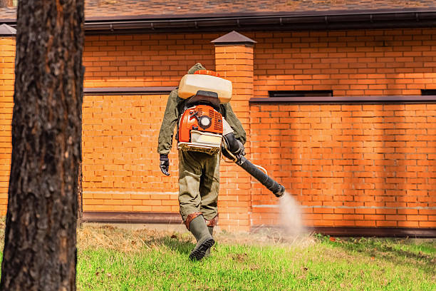 Top rated local Cockroach Control specialists in Hemlock, MI